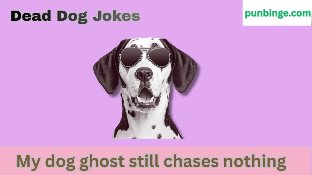 Dead Dog Jokes