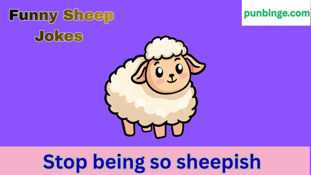 Funny Sheep Jokes