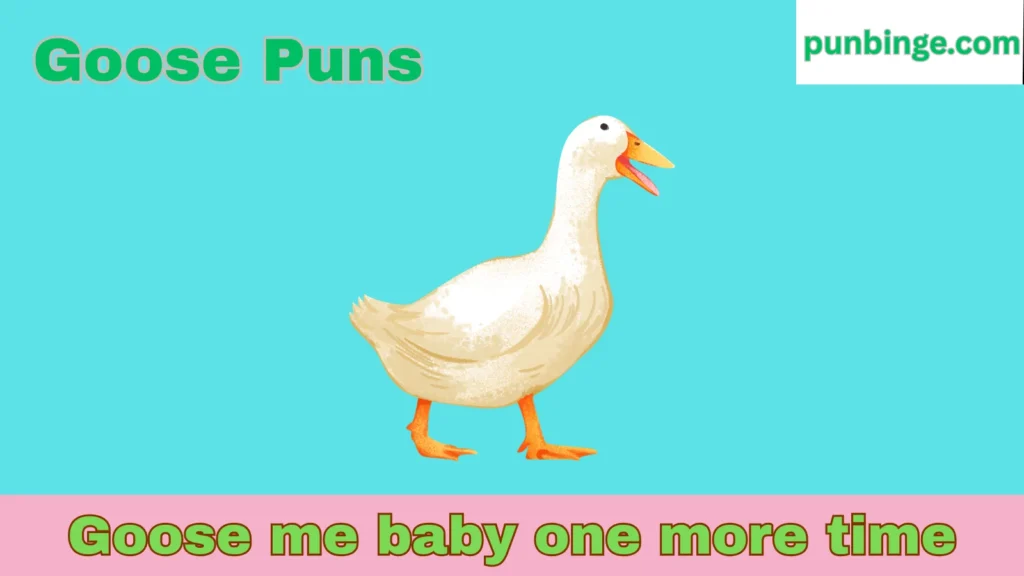 Goose Puns