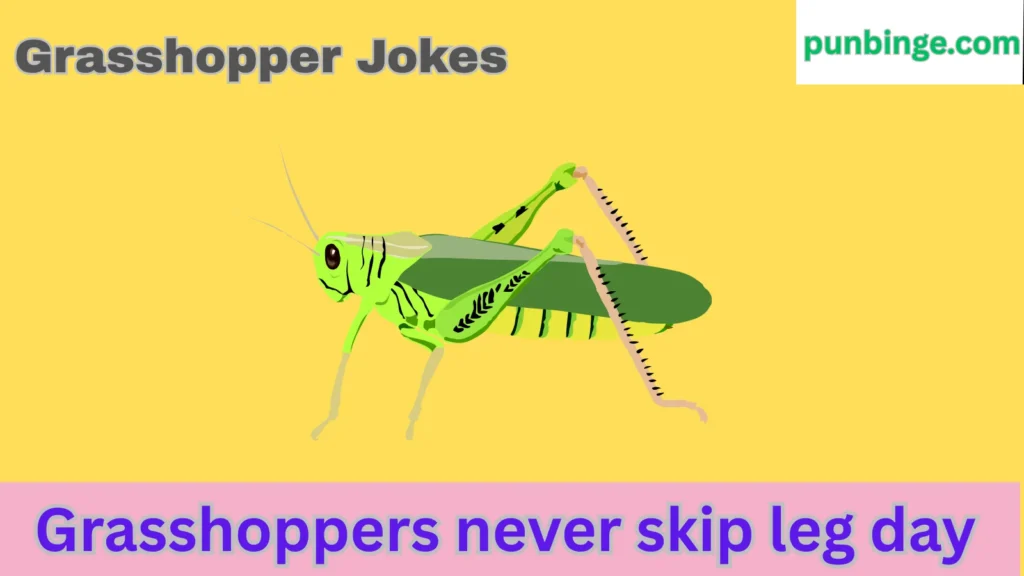 Grasshopper Jokes