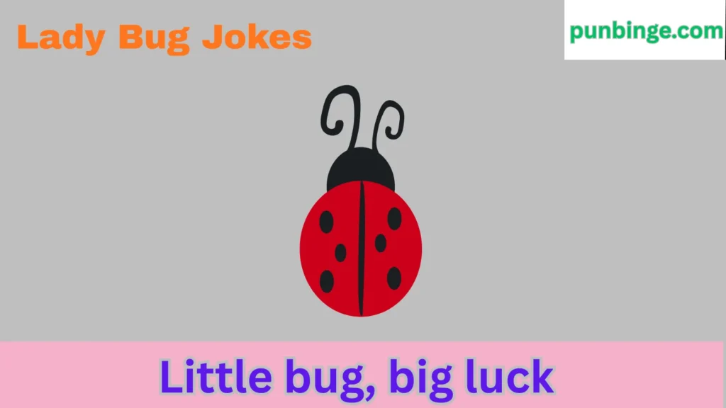 Lady Bug Jokes