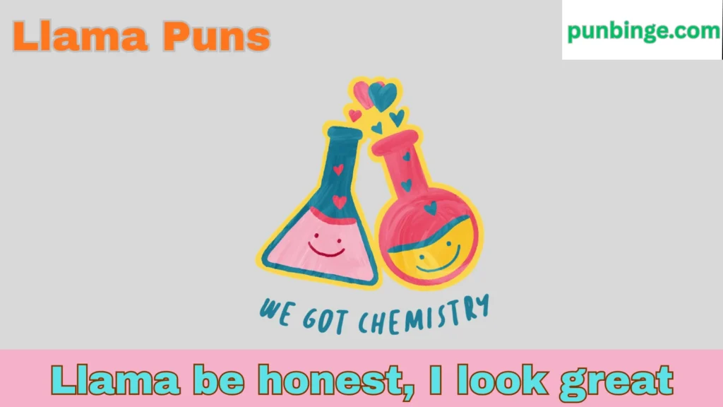 Llama Puns