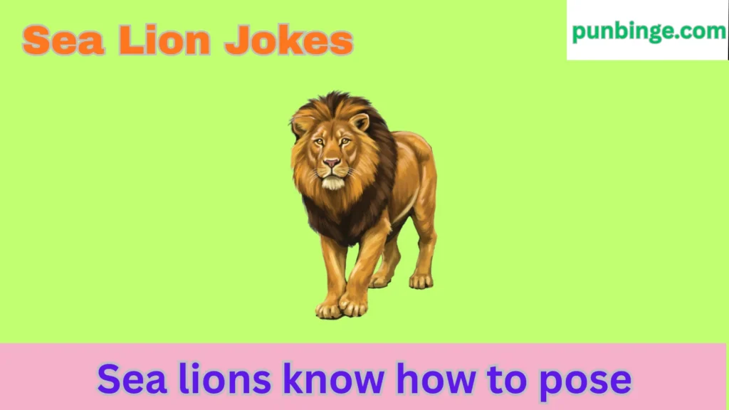 Sea Lion Jokes