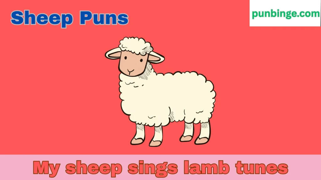 Sheep Puns