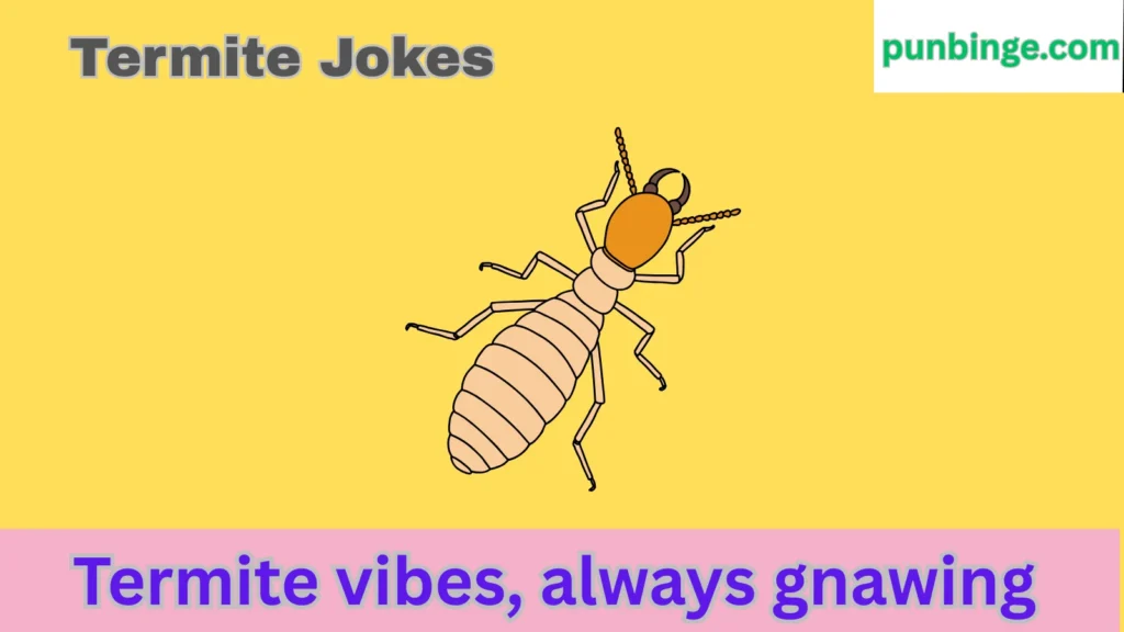 Termite Jokes