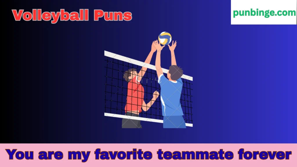 Cute volleyball puns