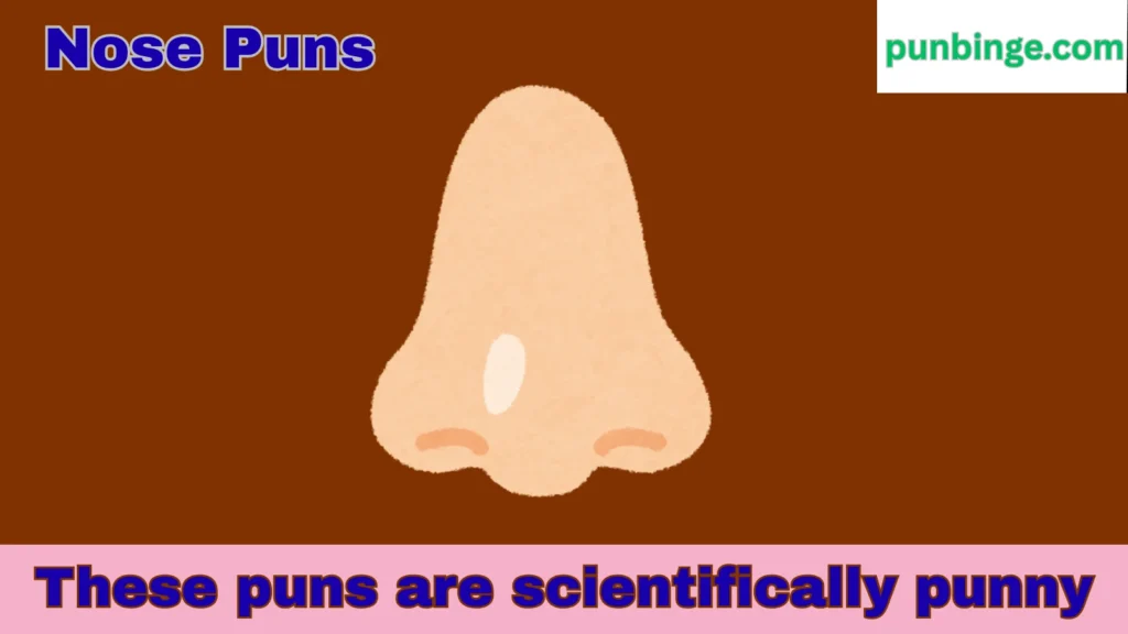 Nose puns punpedia