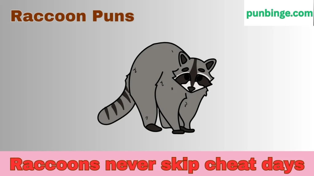 Raccoon Puns