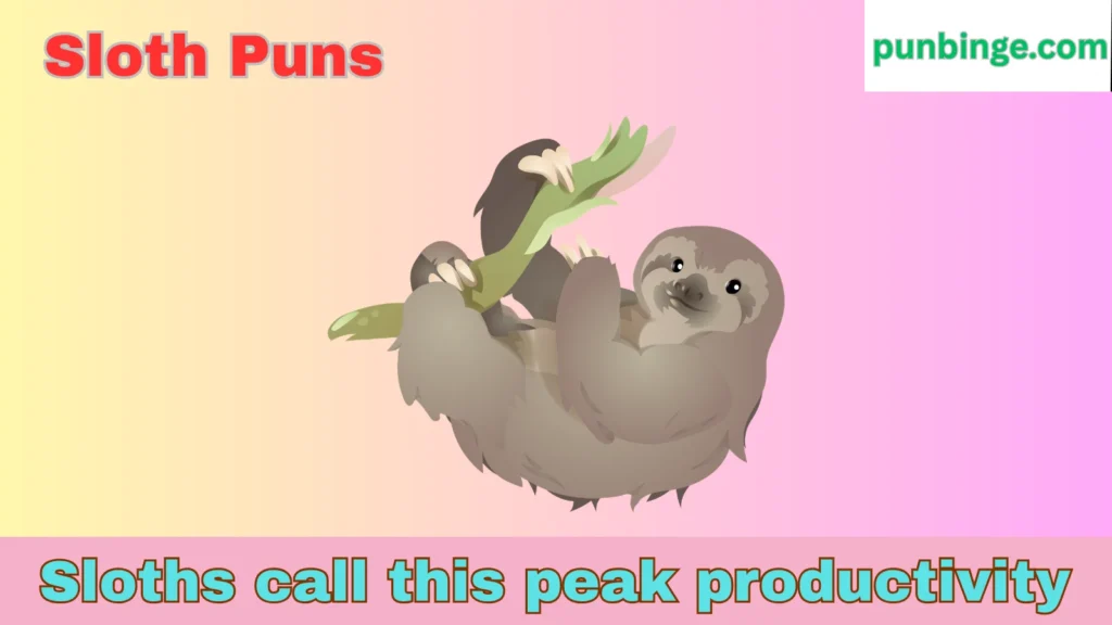 Sloth Puns