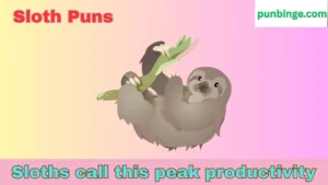 Sloth Puns