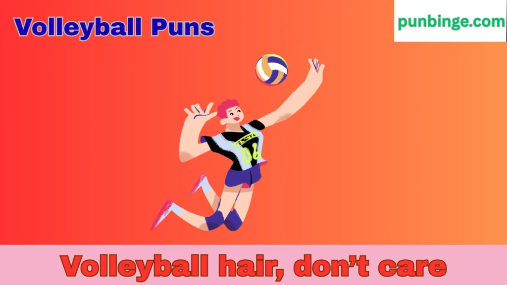 Volleyball Puns